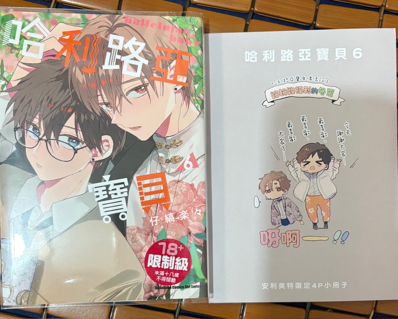 哈利路亞寶貝6+安美特典小冊