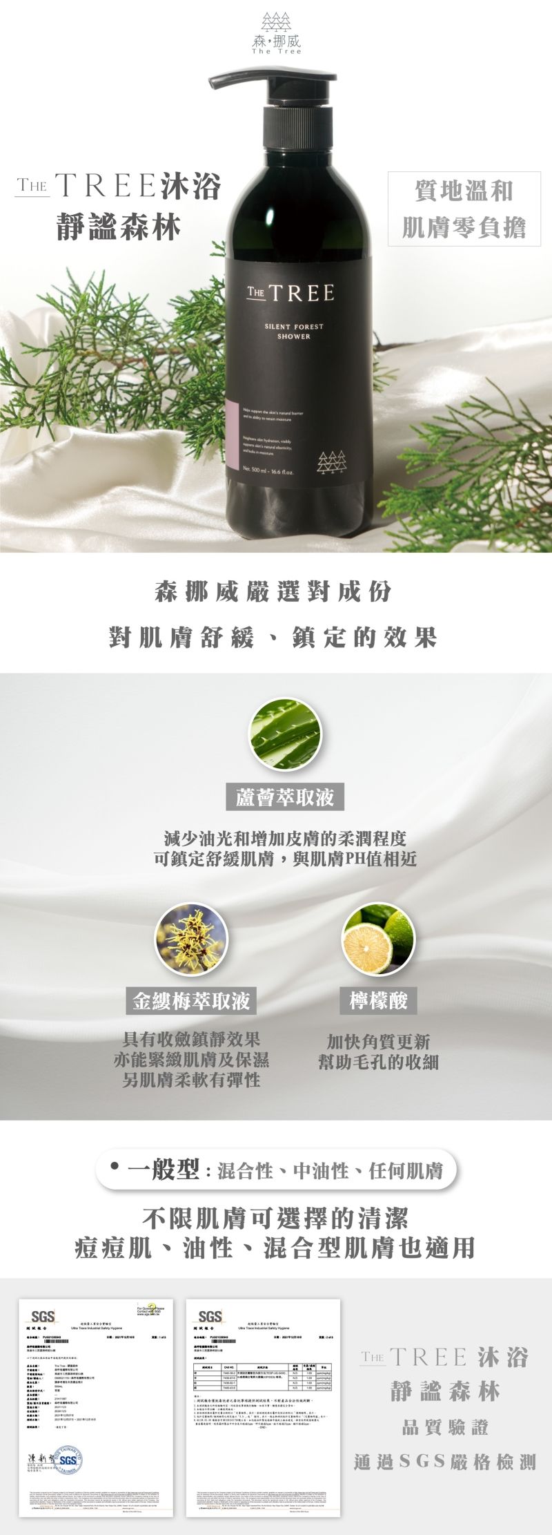 森挪威｜ 靜謐森林沐浴