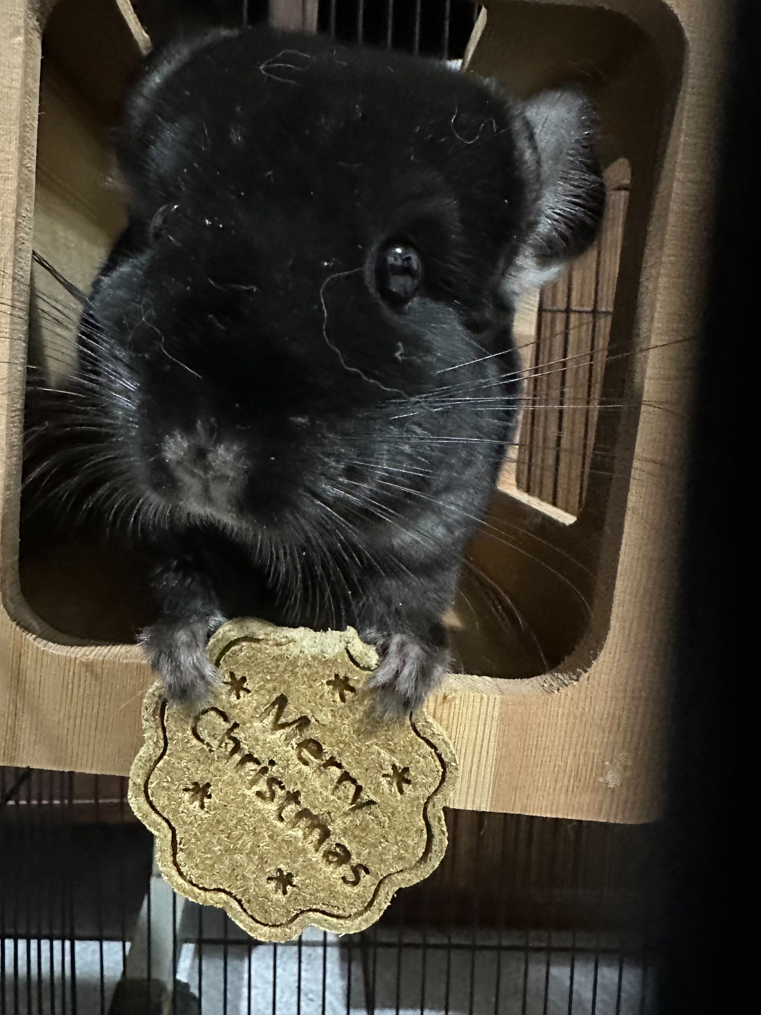 聖誕草餅