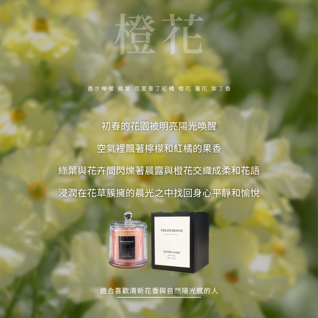 2025｜玻璃杯大豆香氛蠟燭150g