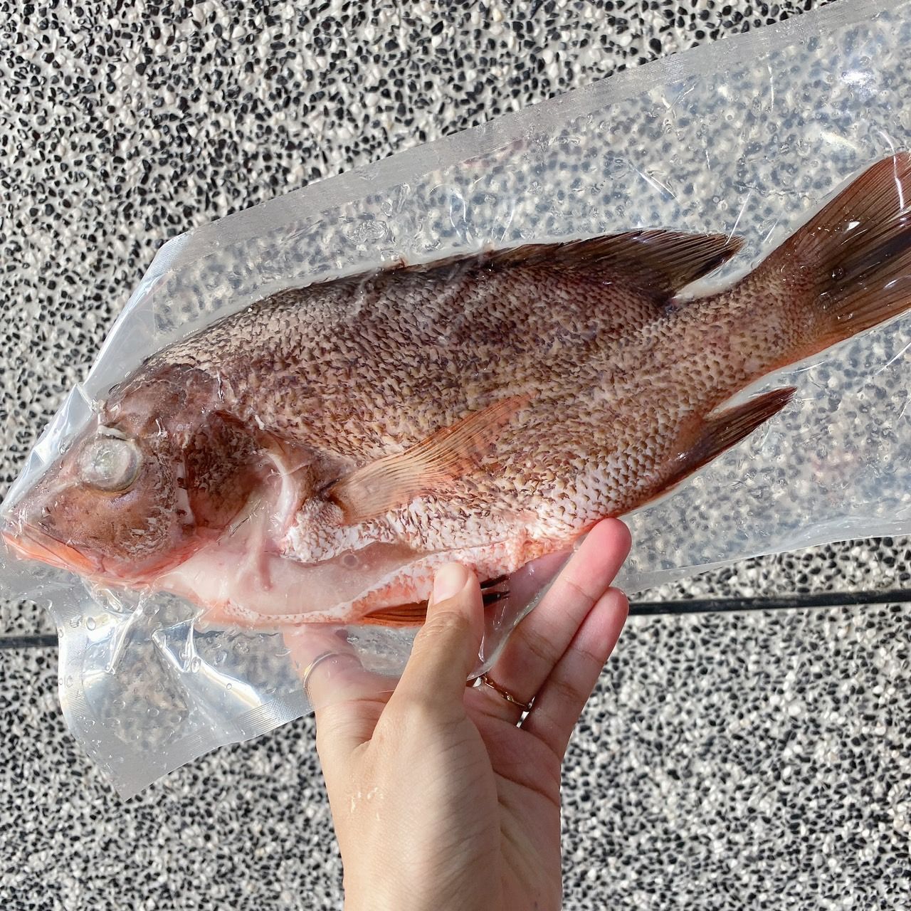紅魚（紅雞母）300g-350克