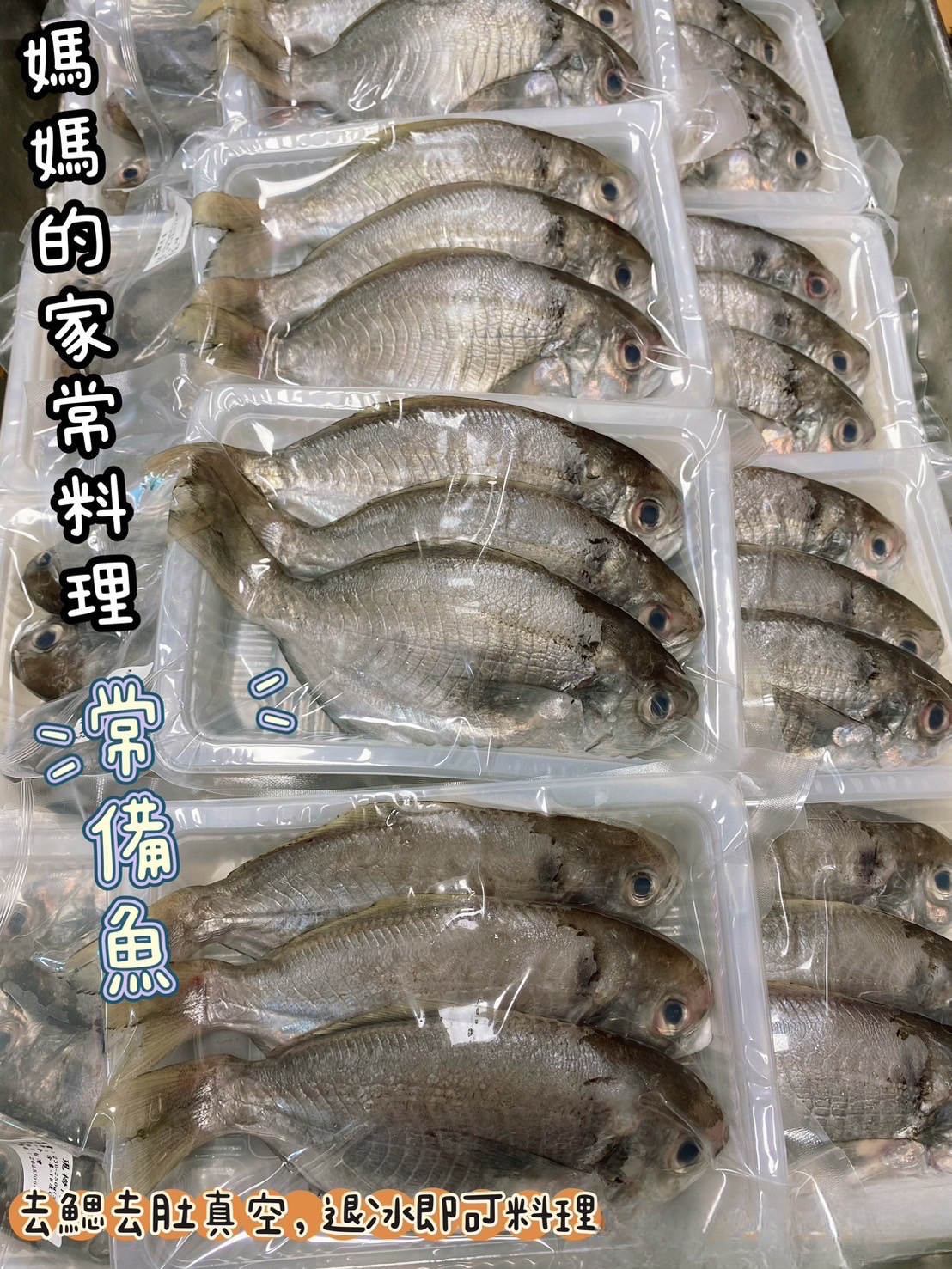 台灣現撈肉魚