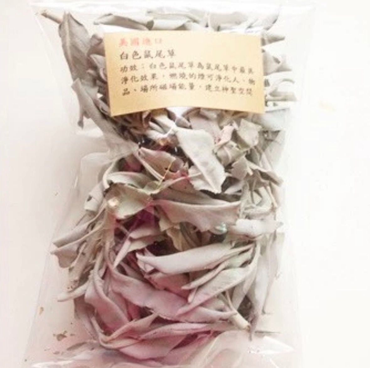 北美鼠尾草/棒＆薰香貝殼架