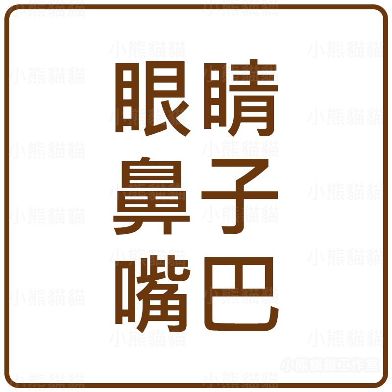 【小熊貓貓】眼睛、鼻子、嘴巴區