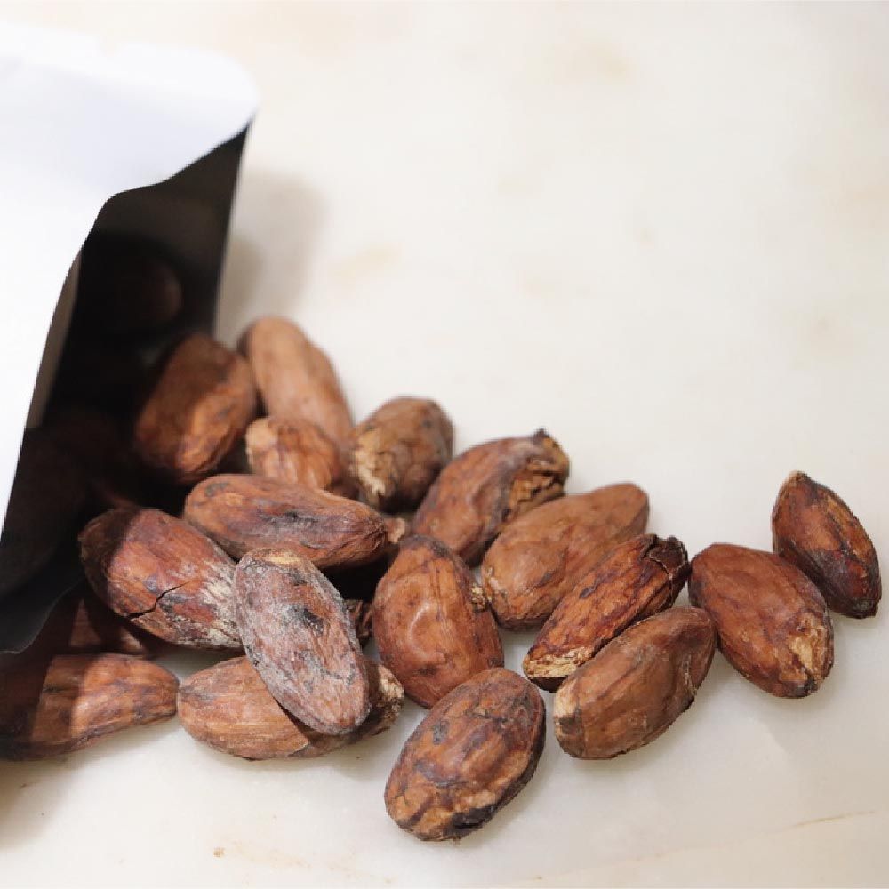 可可豆丨100g丨巧遇農情