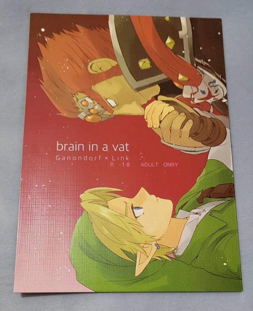 【日文】加農林克 brain in a vat