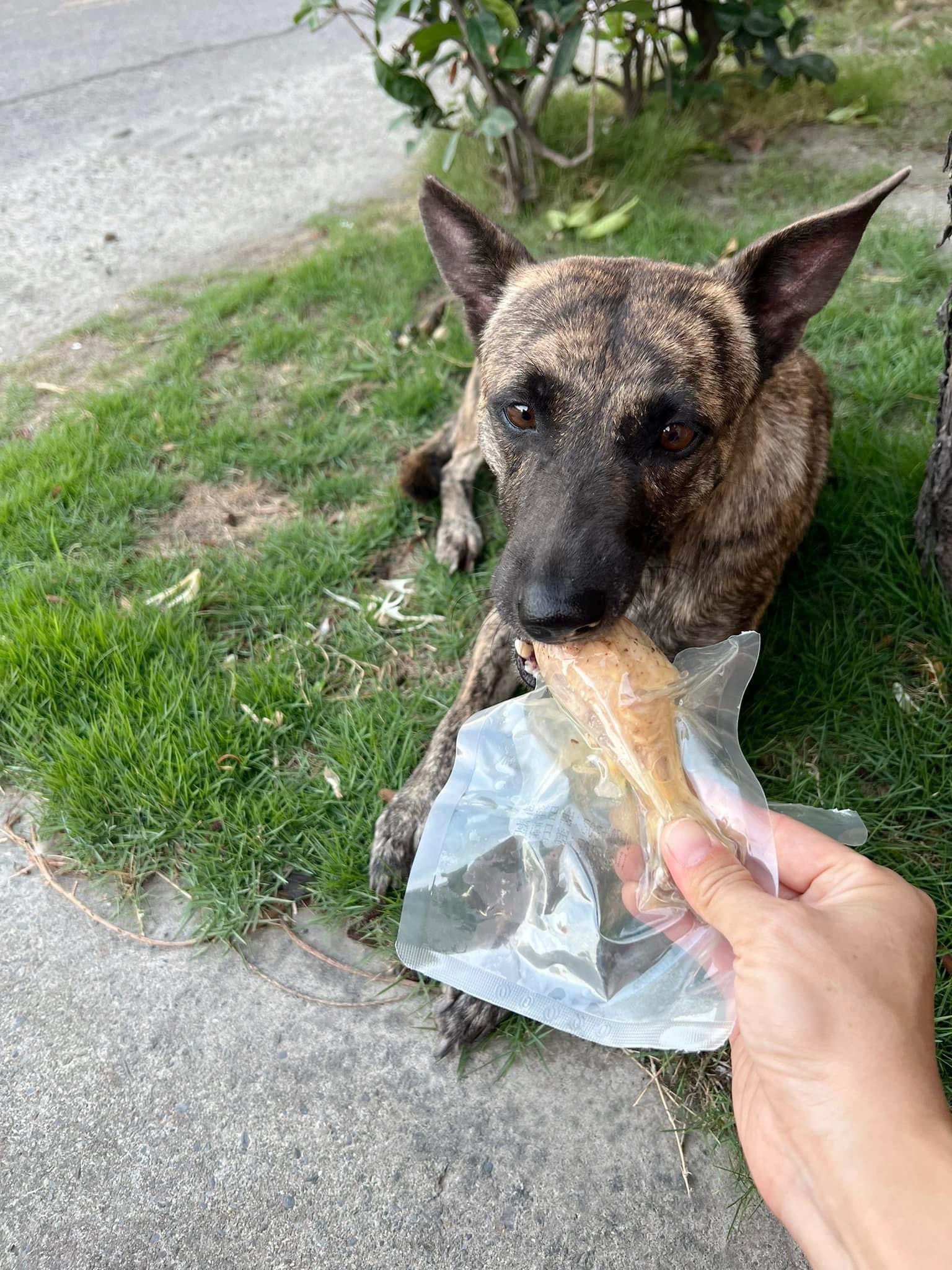 化骨鮮嫩雞腿80克±10（若無雞腿時 用雞塊代替）