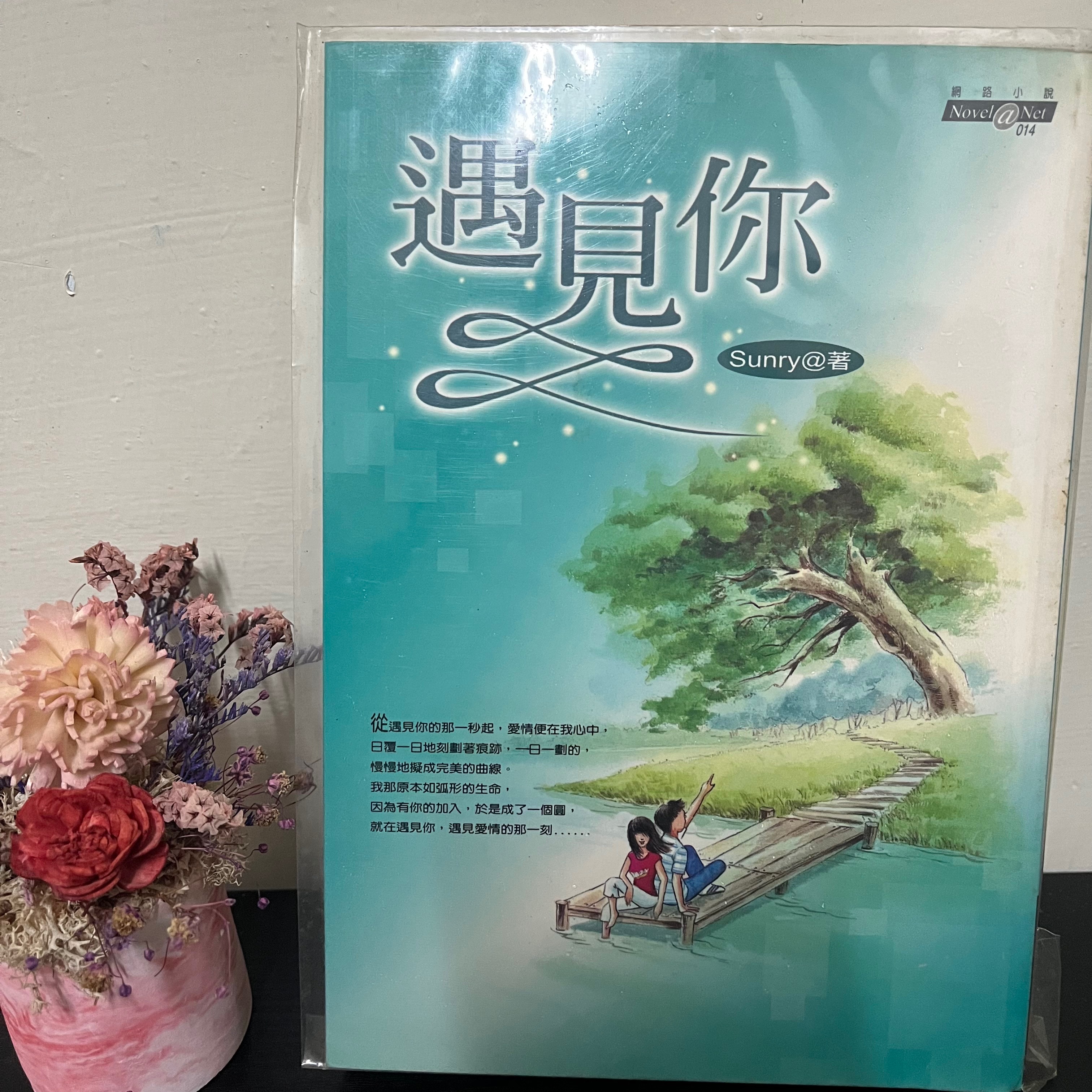 小說：遇見你_Sunry