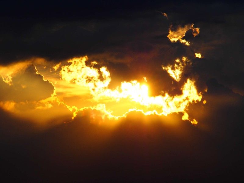 咖狗咖啡-秘魯/卡瑪哈卡/水洗 /Costa Rica 95