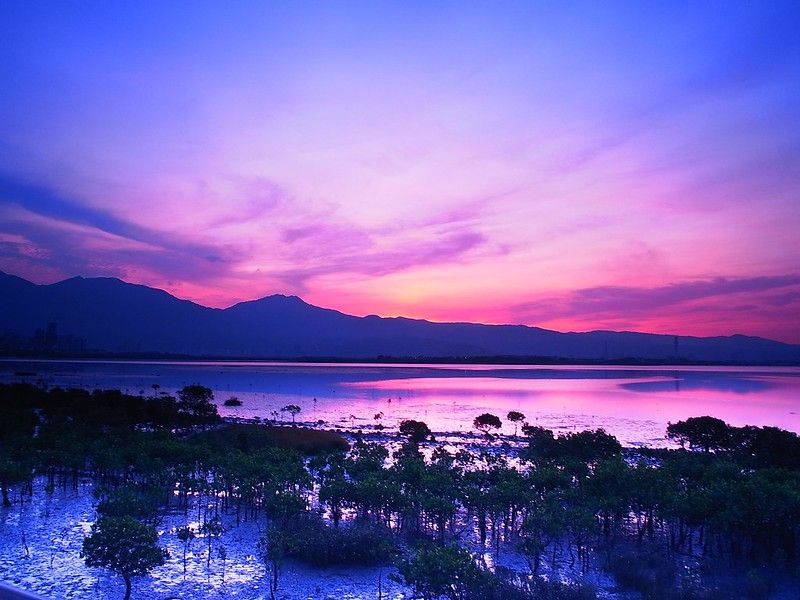 咖狗咖啡-哥倫比亞/瑪格麗特/雙重厭氧蜜 /Castillo