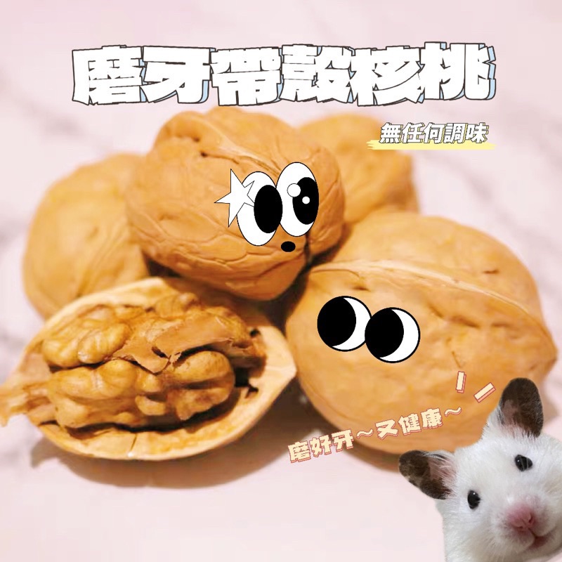 磨牙帶殼核桃