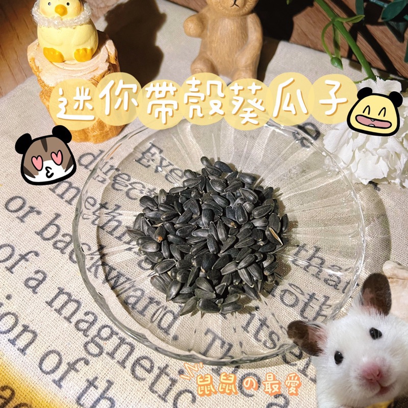 迷你帶殼葵瓜子