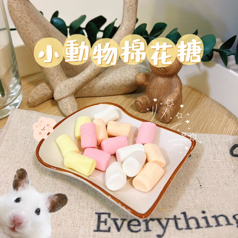 小動物棉花糖