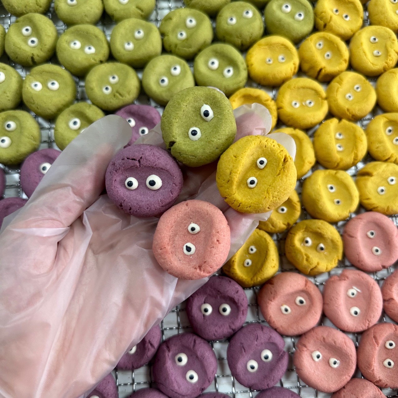 瑪格麗特小精靈雞肉磨牙餅