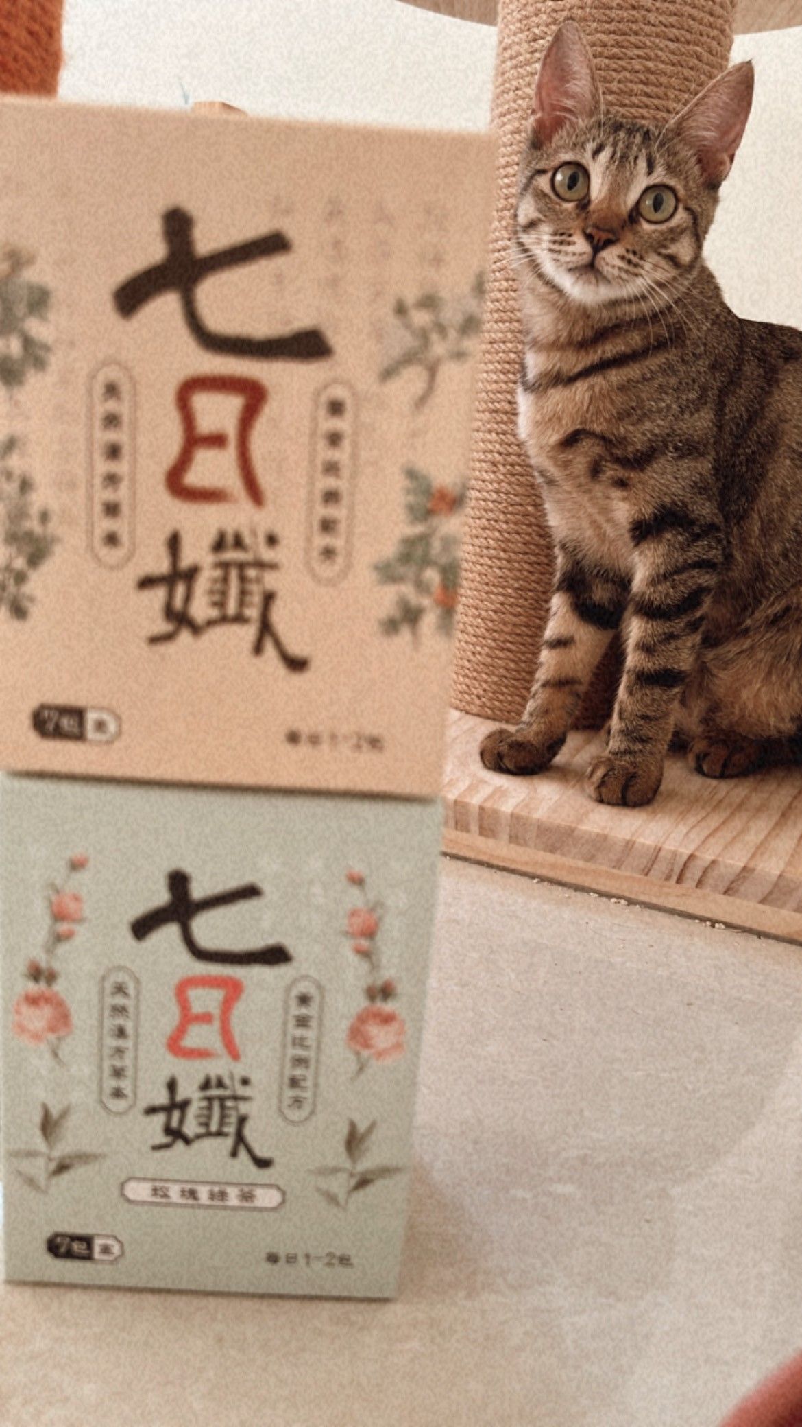 七日孅茶包 洛神仙楂口味／玫瑰綠茶口味 / 桂花薄荷口味【現貨+預購】