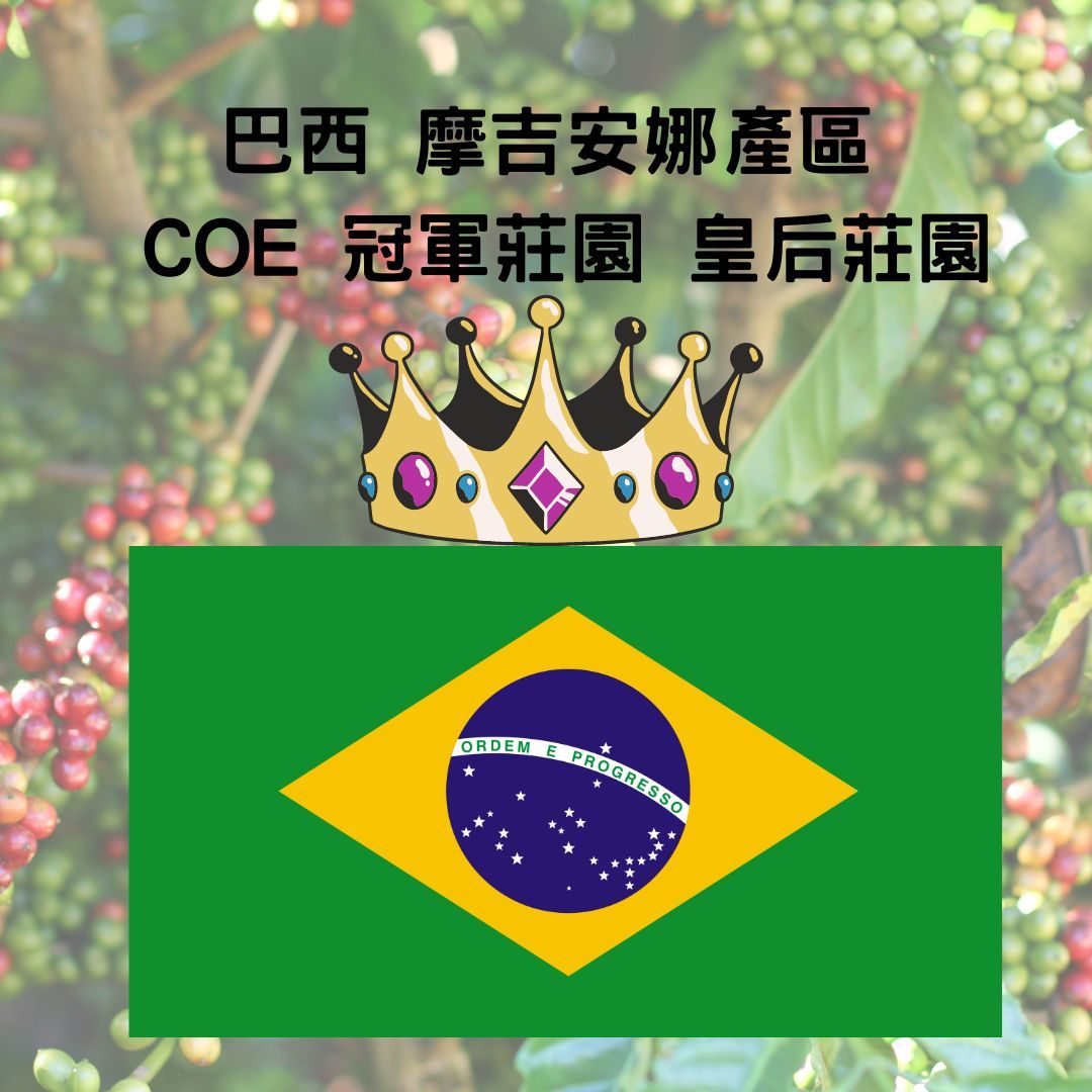 巴西 摩吉安娜產區 COE 冠軍莊園 皇后莊園