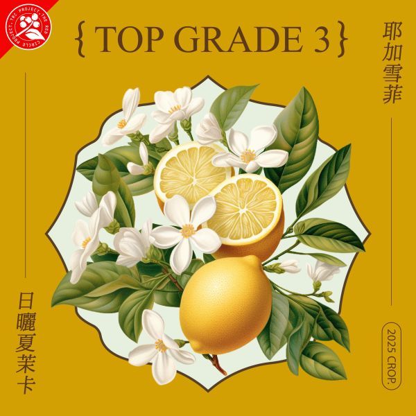 日曬夏茉卡 G3