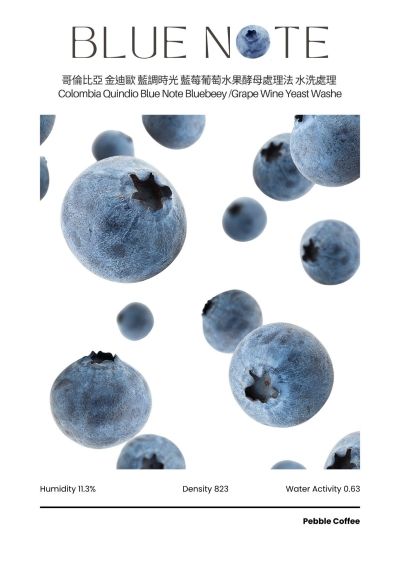 藍調時光 藍莓葡萄水果酵母 水洗處理