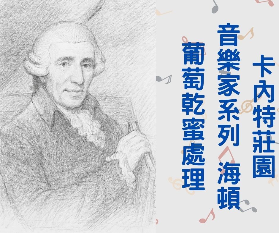 音樂家 海頓