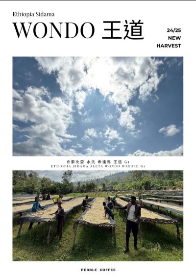 衣索比亞 水洗 希達馬 王道 G1（最後15KG）