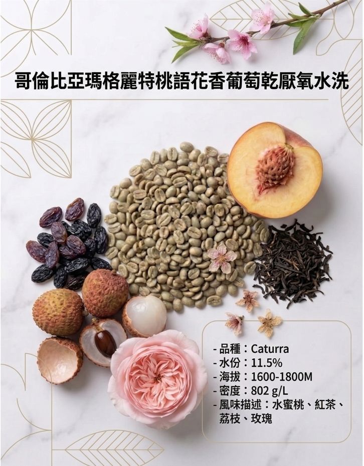 哥倫比亞瑪格麗特桃語花香葡萄乾厭氧水洗