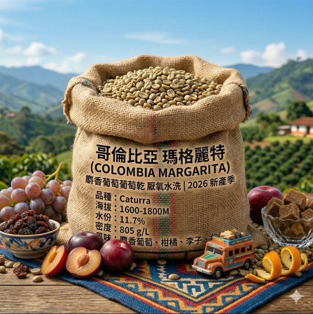 哥倫比亞瑪格麗特麝香葡萄葡萄乾厭氧水洗