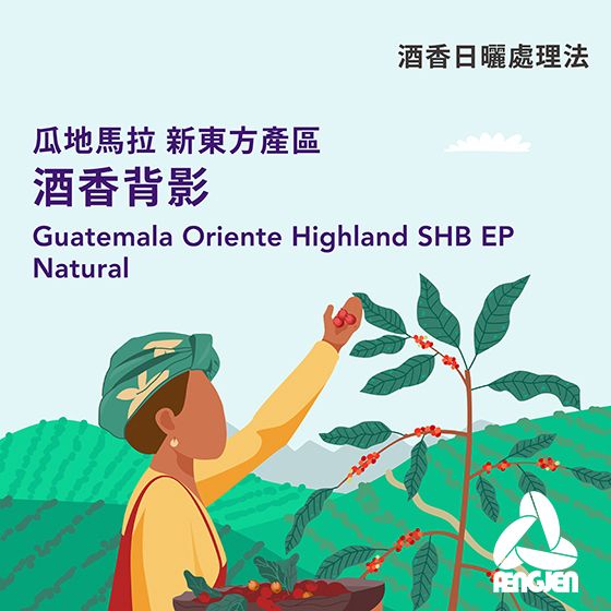 瓜地馬拉 新東方產區 酒香背影【酒香日曬】