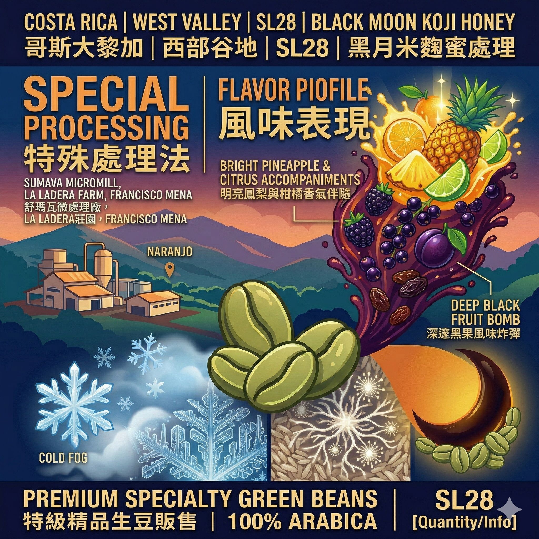 舒瑪瓦微處理廠 SL28 全漿果靜置/低溫發酵 米麴發酵 黑月蜜處理