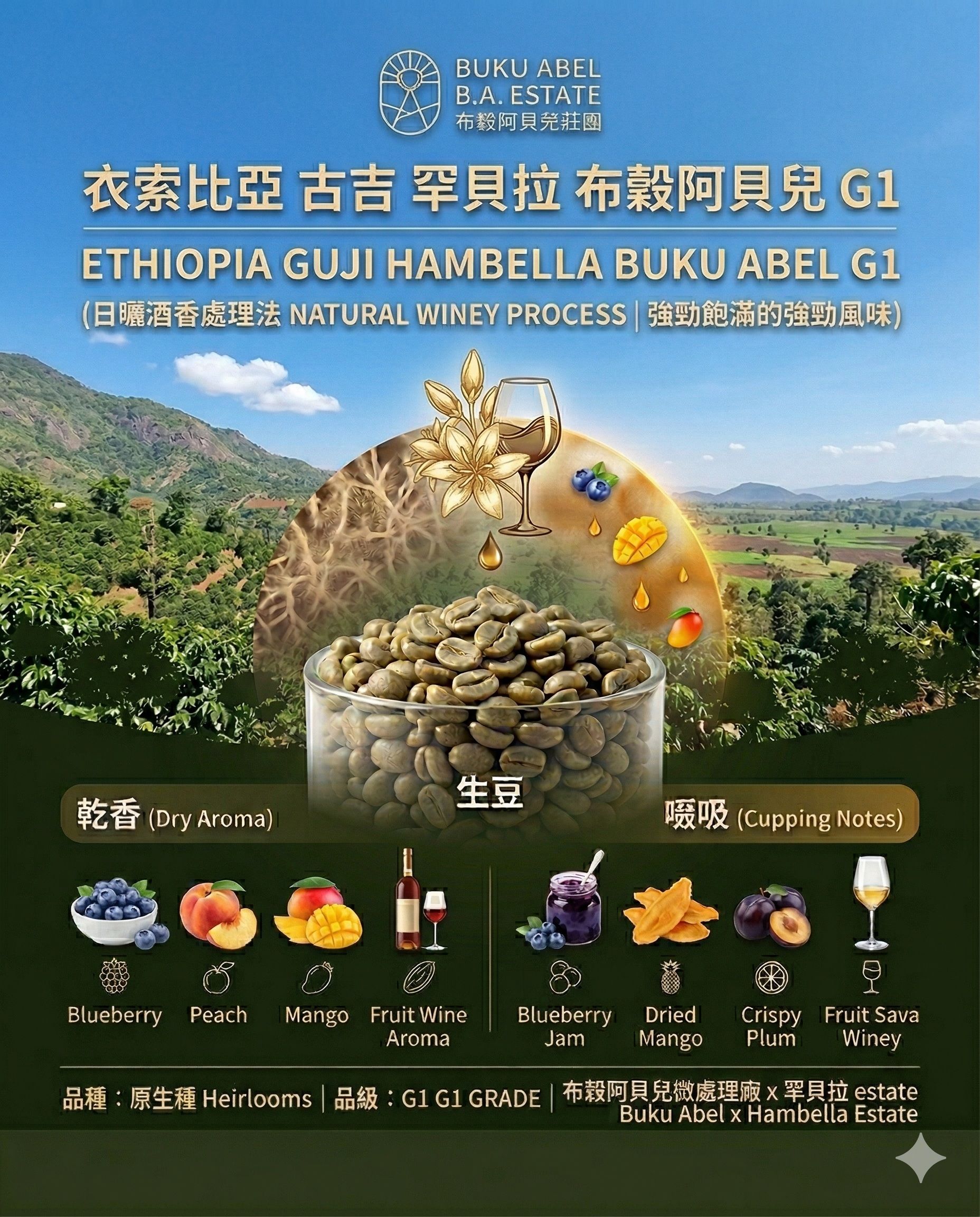 衣索比亞 布穀阿貝兒 日曬酒香
