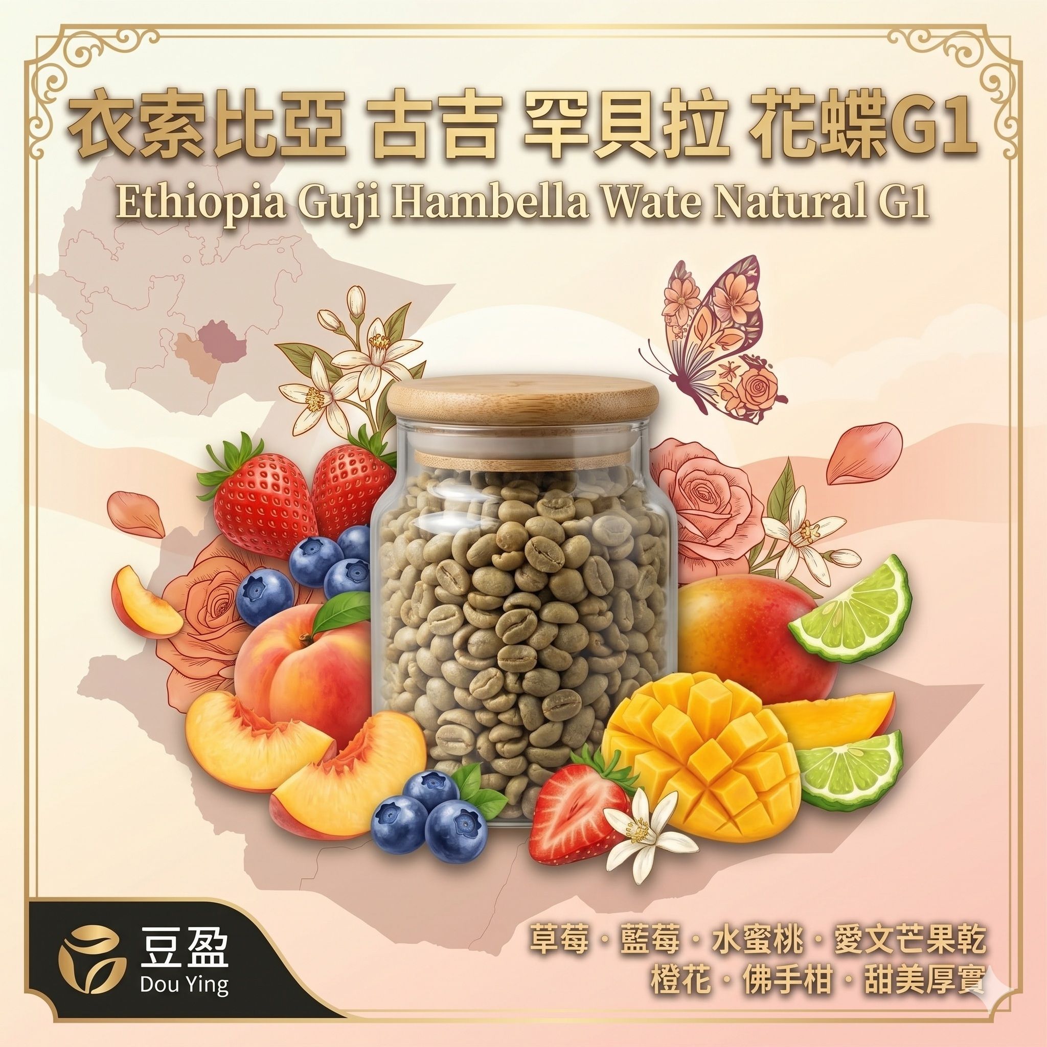 古吉 罕貝拉 花蝶