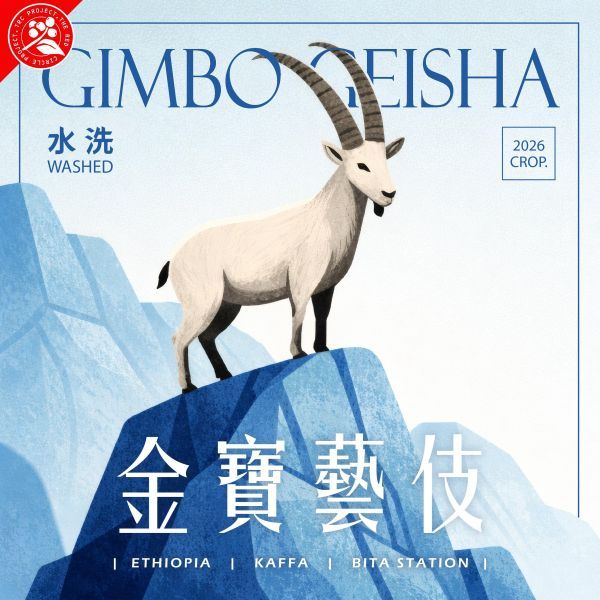 水洗金寶藝伎