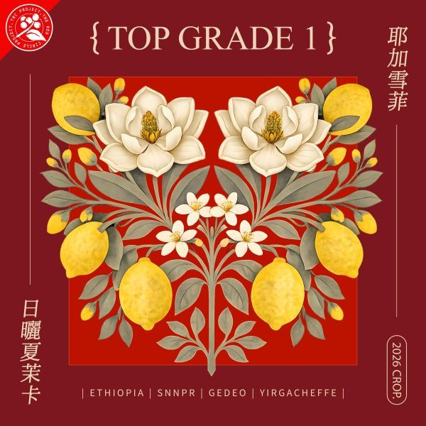 日曬夏茉卡