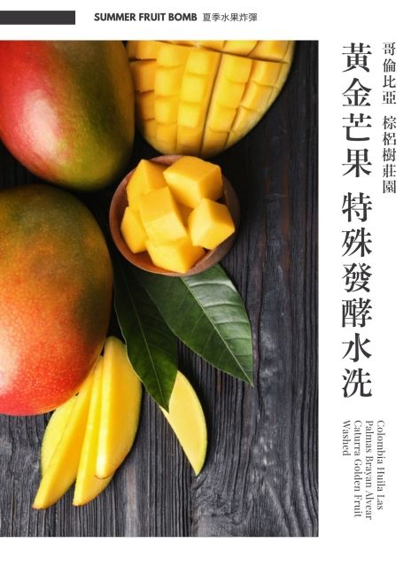 哥倫比亞 薇拉省 棕梠樹莊園 布萊恩小農 卡杜拉 黃金芒果水果 水洗