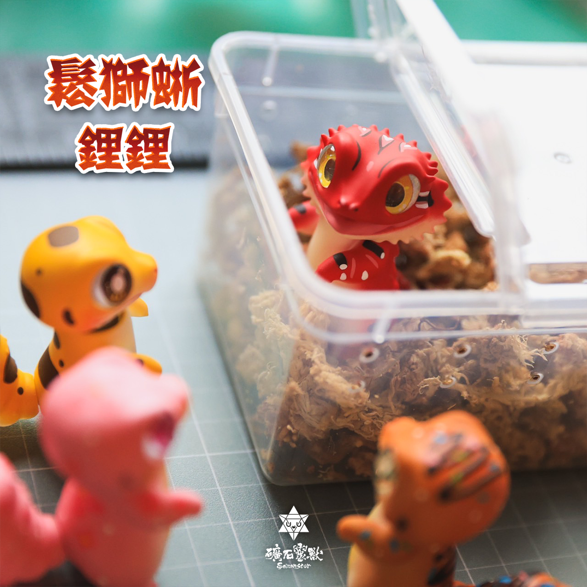 鬆獅蜥-鋰鋰