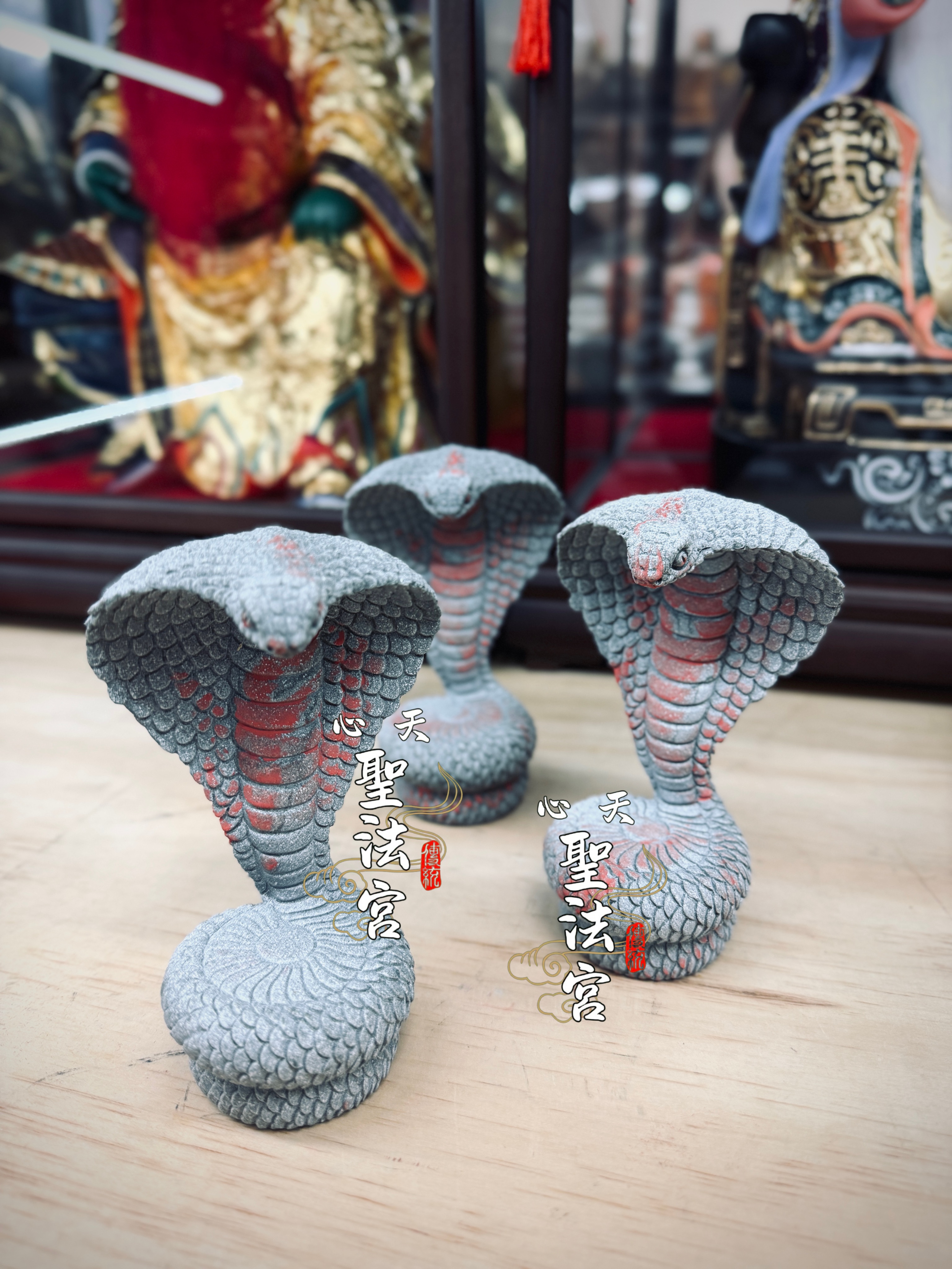 加持財蛇（放財位、辦公地方）