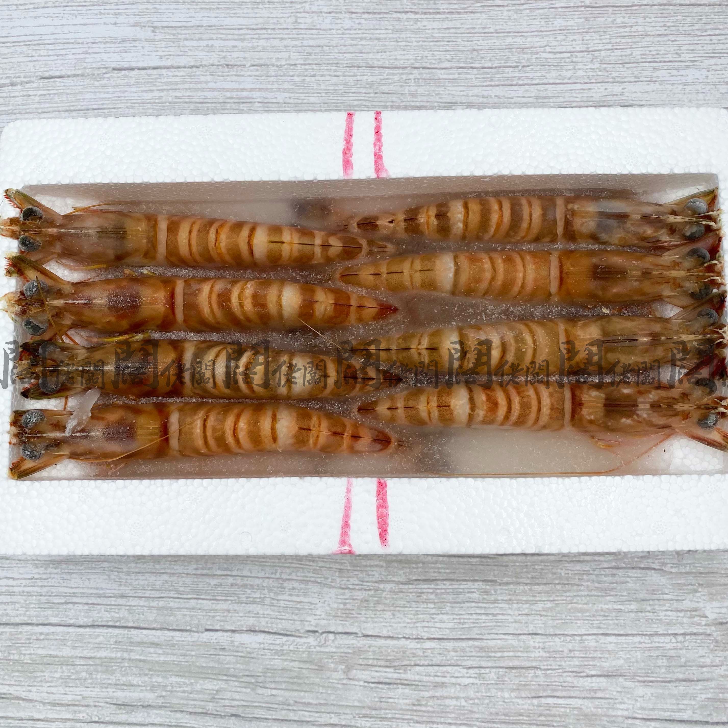明蝦 活凍大明蝦 7P/420g 野生大明蝦 斑節蝦