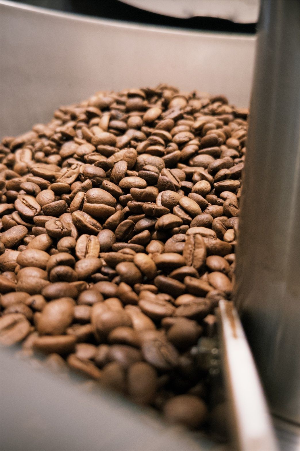 《老墨咖啡》衣索比亞 耶家雪菲 亞妲玫 水洗