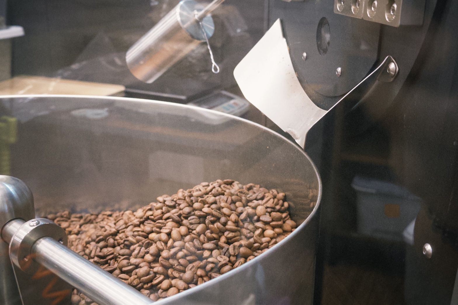 《老墨咖啡》哥斯大黎加 蜂鳥 聖蘿蔓處理廠 酵素水洗