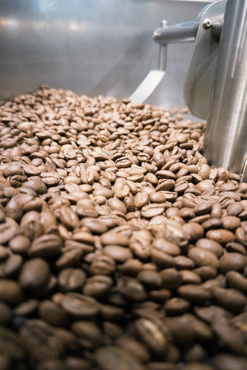 《老墨咖啡》🔥🔥🔥哥倫比亞 瑪格麗特 玉荷包荔枝 （熱賣款）