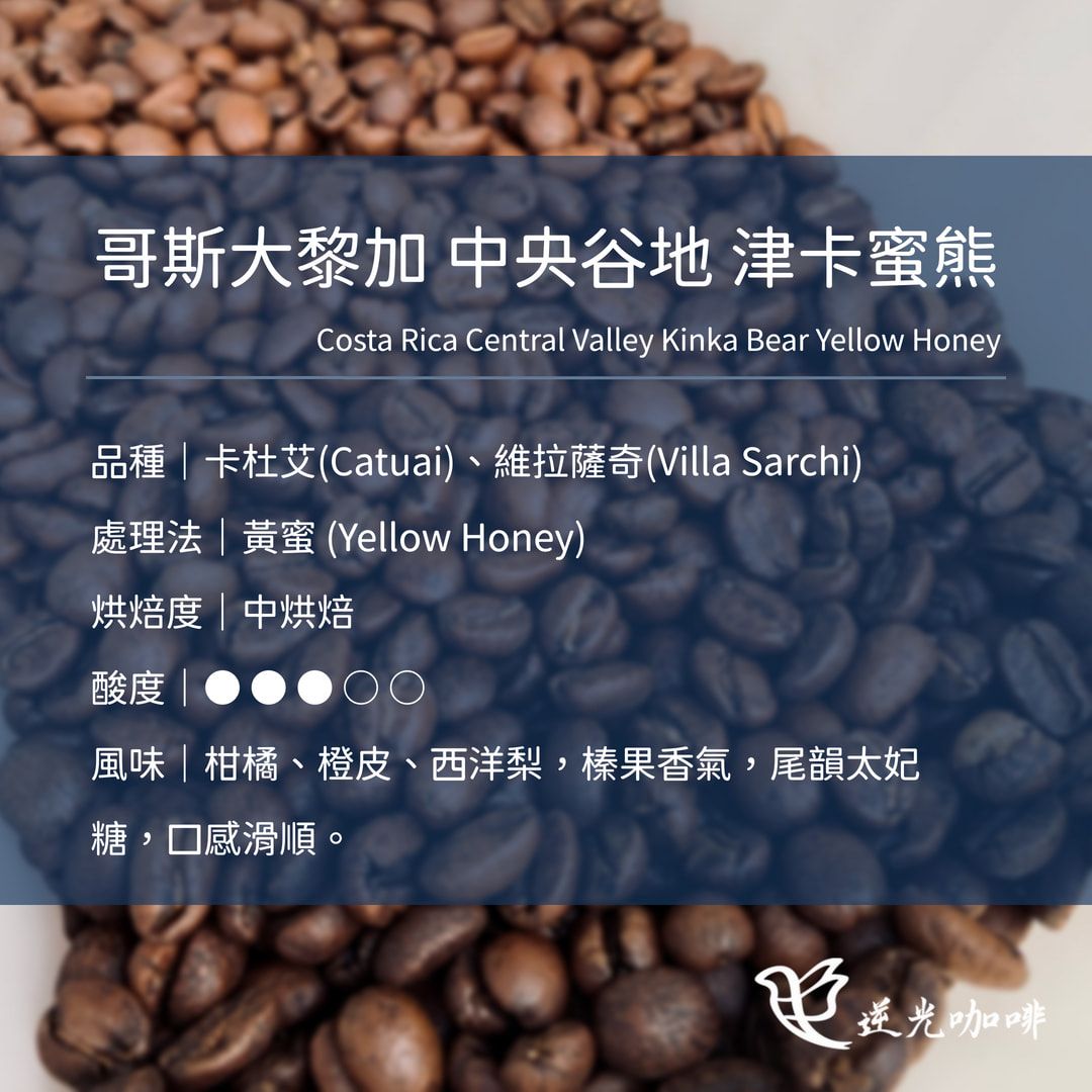 哥斯大黎加 中央谷地 津卡蜜熊 黃蜜 中焙