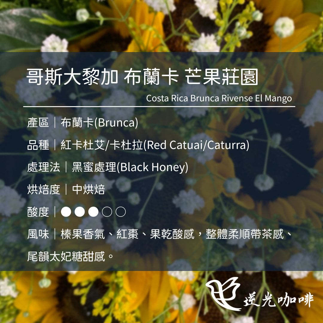 哥斯大黎加 布蘭卡 芒果莊園 黑蜜 中焙