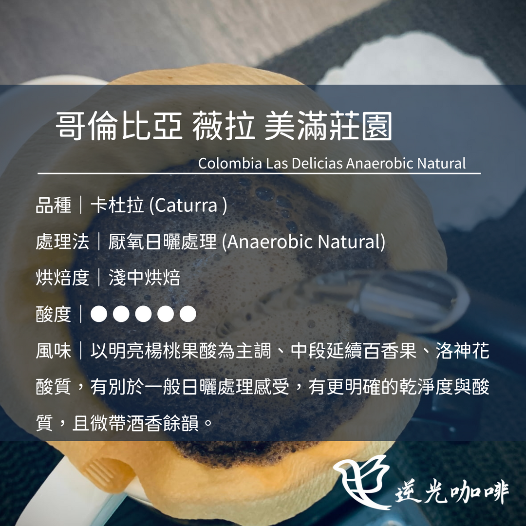 哥倫比亞 薇拉 美滿莊園 厭氧日曬 淺中焙