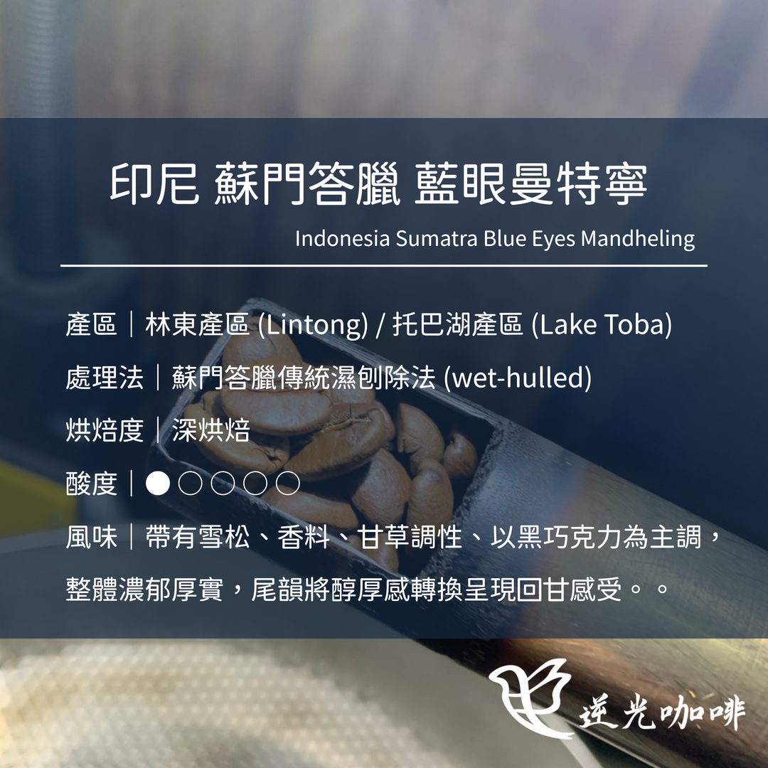 印尼 蘇門答臘 藍眼曼特寧 濕刨 深焙