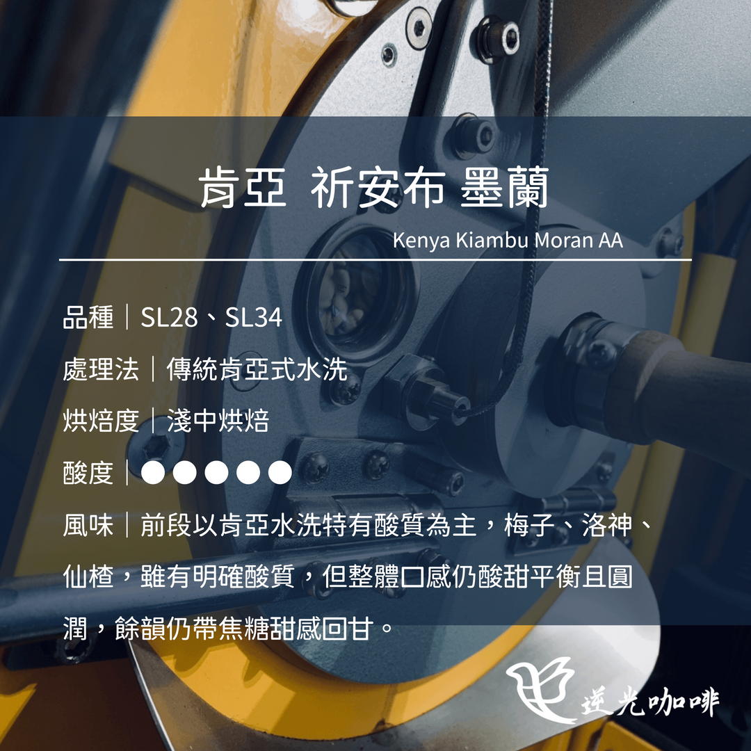 肯亞  祈安布 墨蘭 水洗 淺中焙