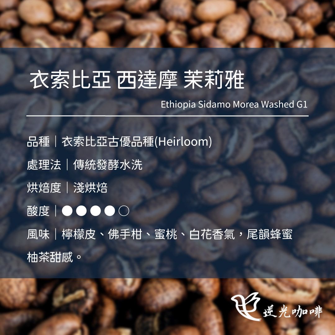 衣索比亞 西達摩 茉莉雅 水洗 淺焙