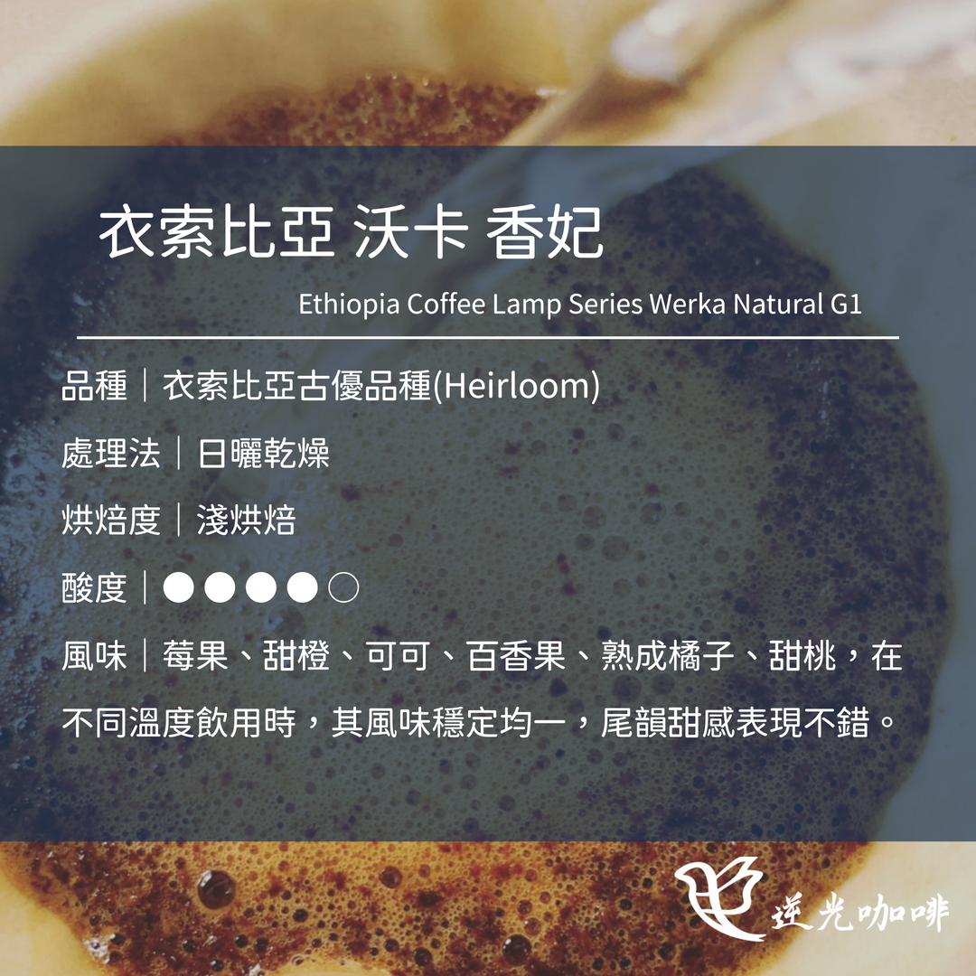 衣索比亞 沃卡 香妃 日曬 淺焙