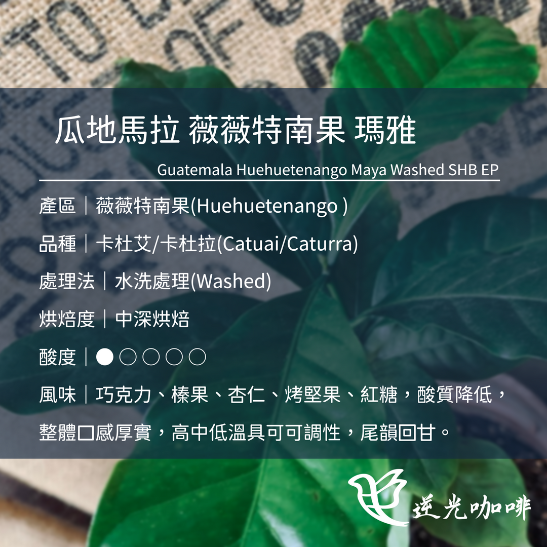 瓜地馬拉 薇薇特南果 瑪雅 水洗 中深焙