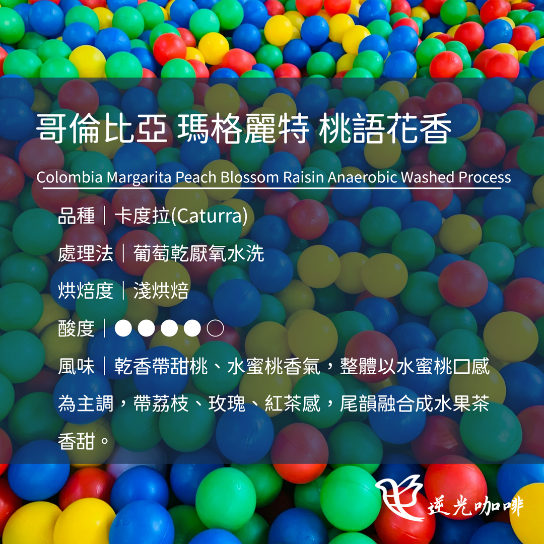 哥倫比亞 瑪格麗特 桃語花香 淺焙 葡萄乾厭氧水洗