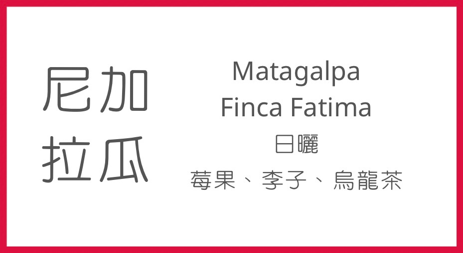 單品掛耳包（尼加拉瓜/日曬）