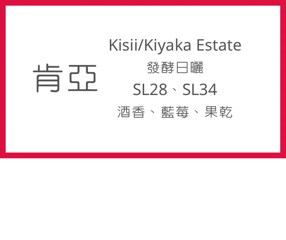 單品掛耳包（肯亞/發酵日曬）